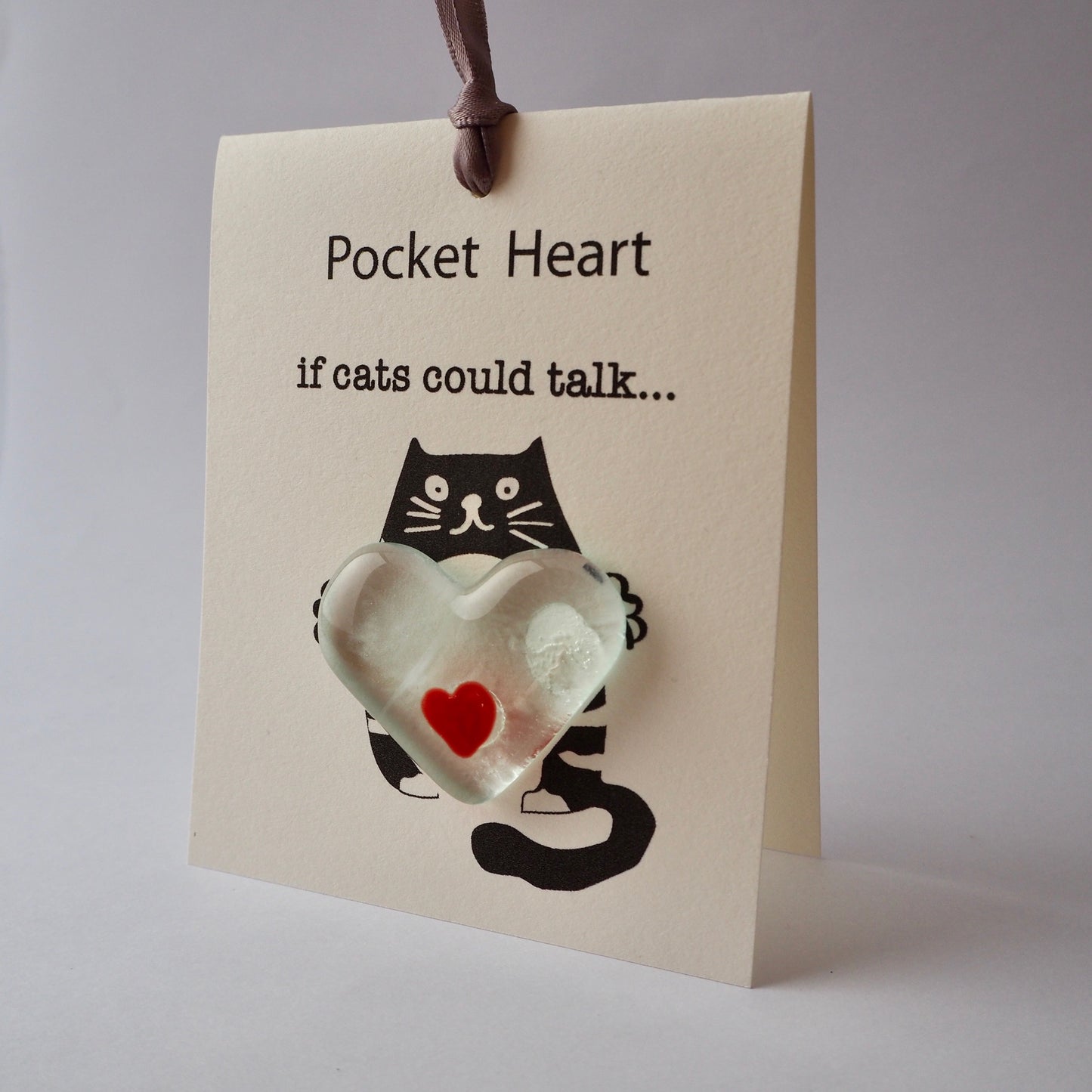 If cats could talk...