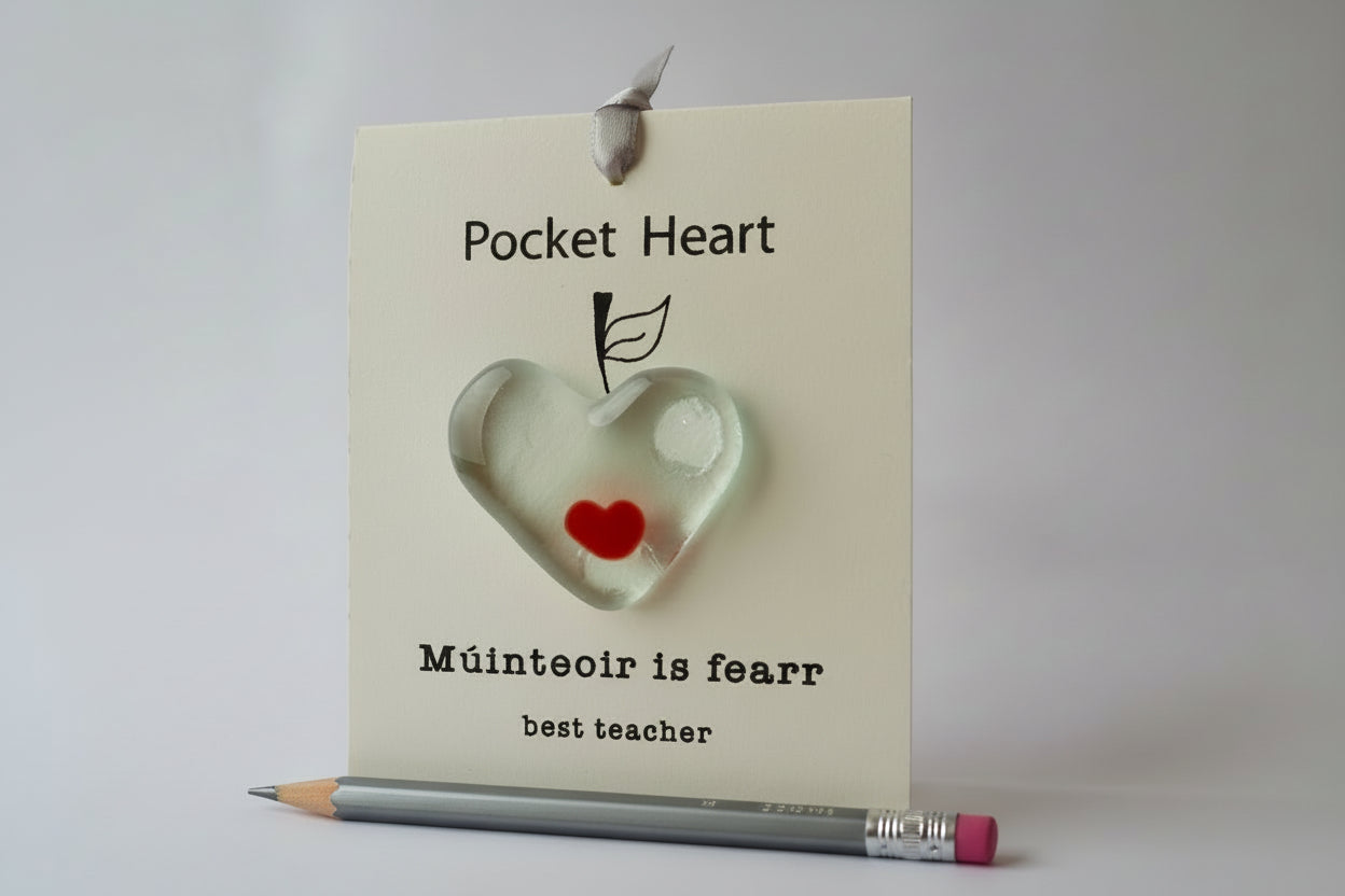 Muinteoir is fearr - best teacher