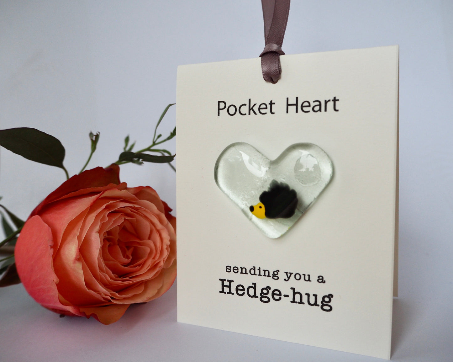 Sending you a Hedge - hug