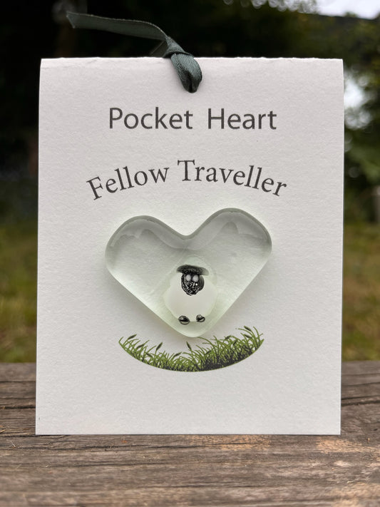 Fellow Traveller